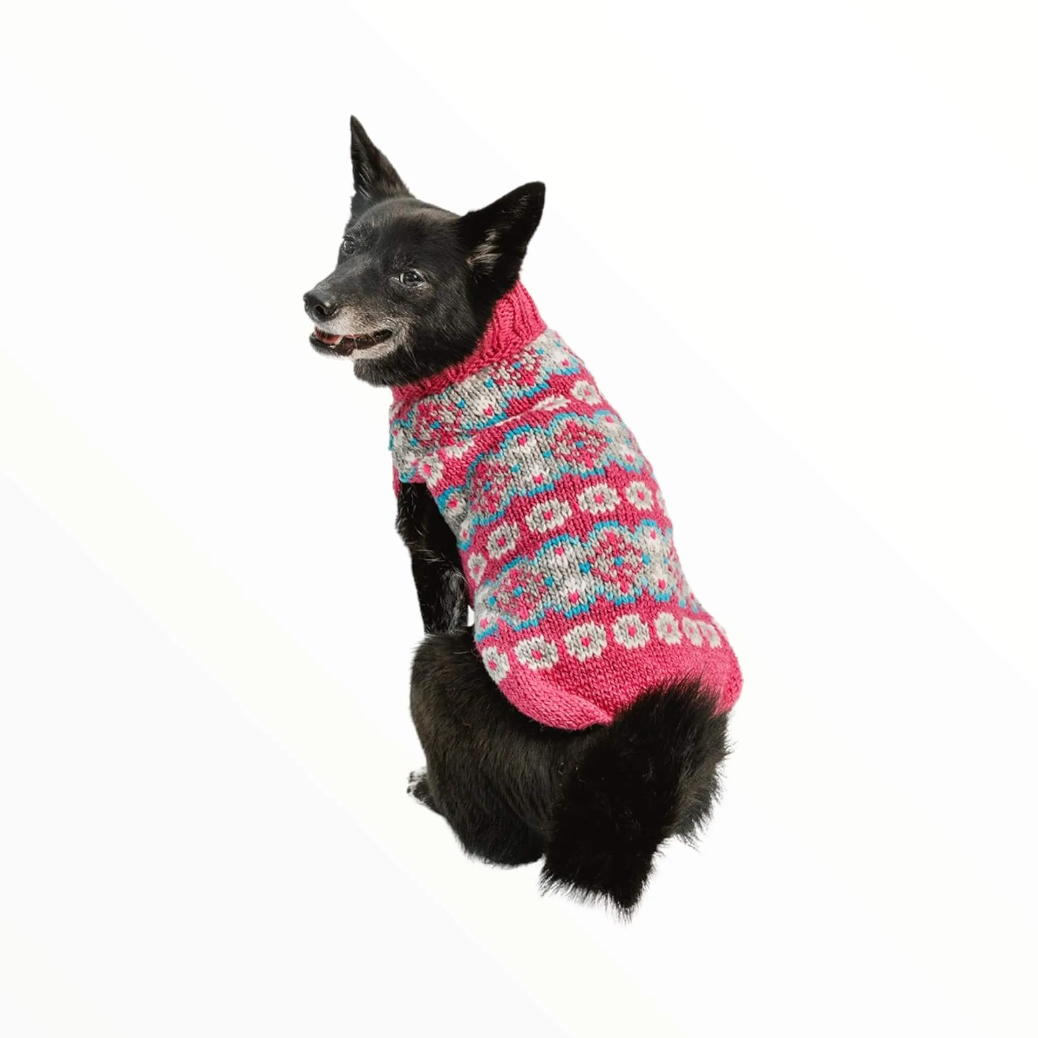 Alpaca Rose Fair Isle Dog Sweater