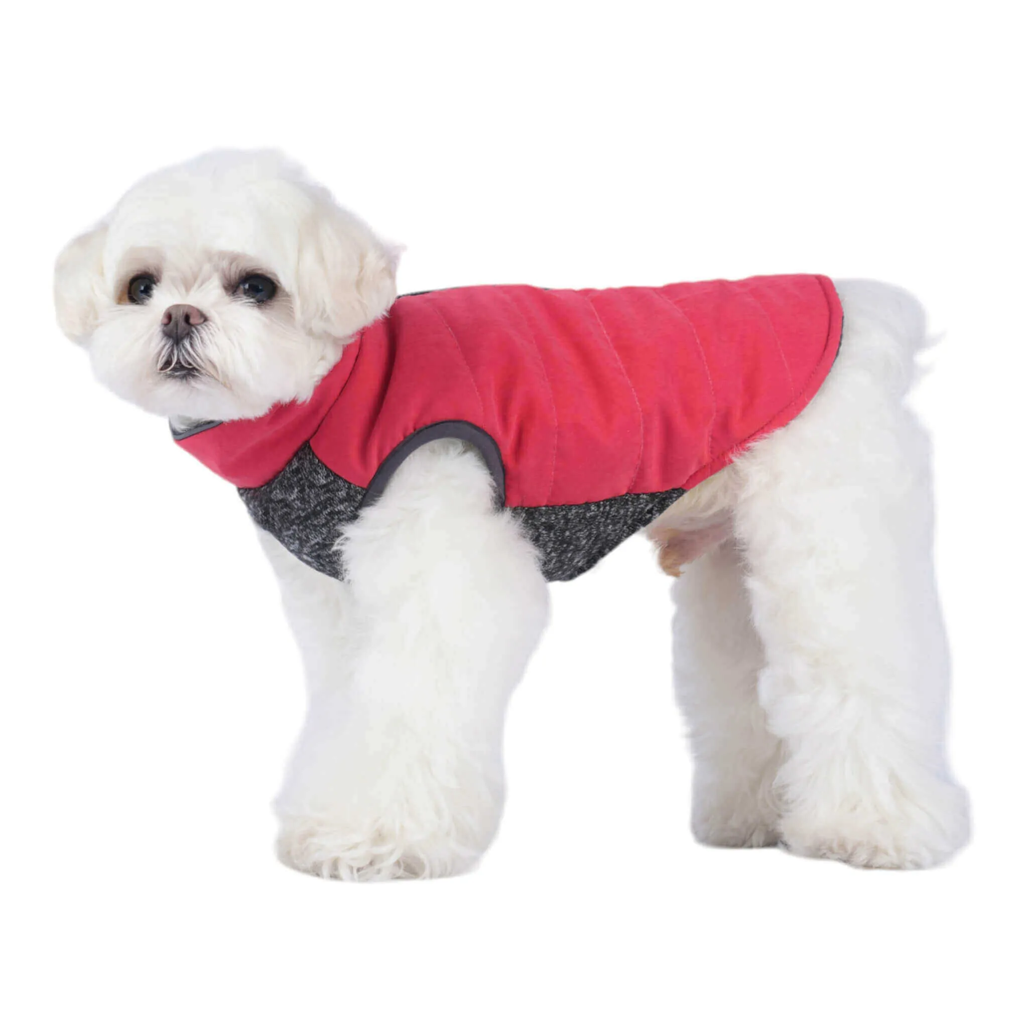 Cheshire Step-In Dog Coat