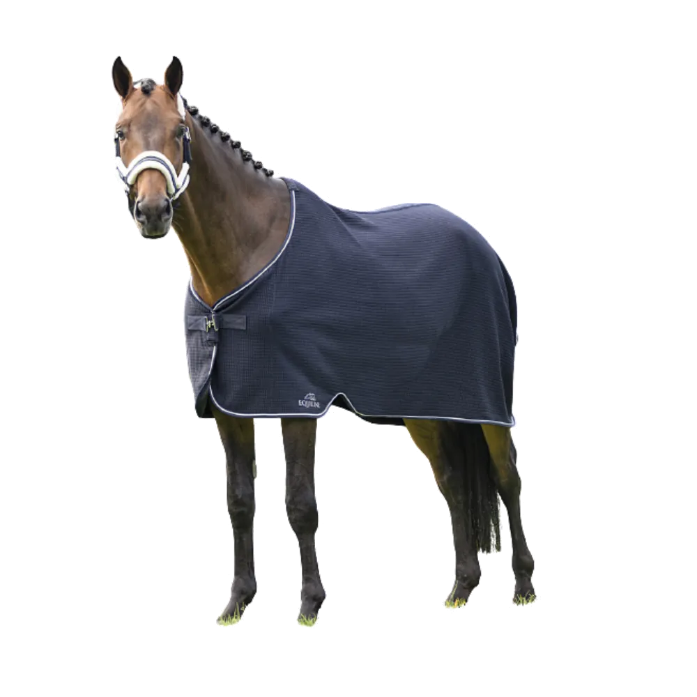 Climate Control Walking Rug without Surcingle by Equiline