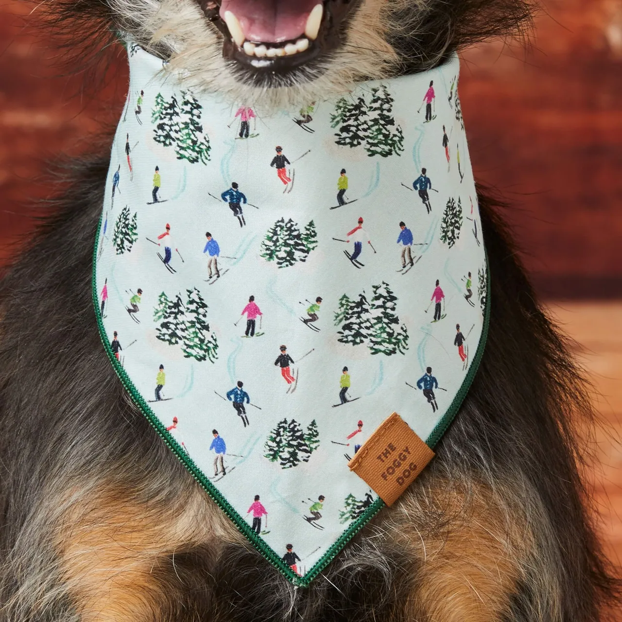 Dog and Cat Bandana: Grey Malin x TFD Powder Day