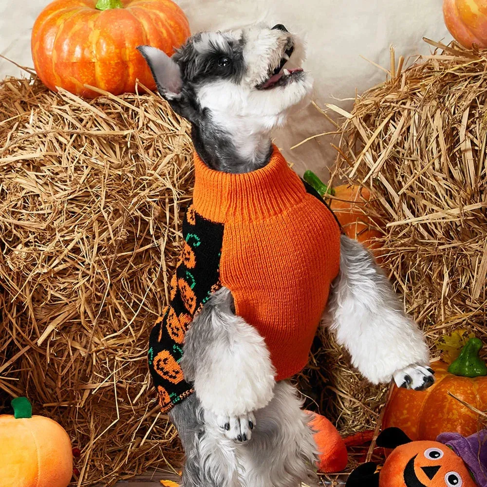 Pat and Pet Emporium | Pet Costumes | Cute Halloween Sweater