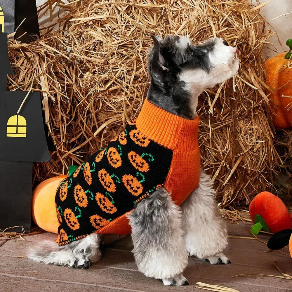 Pat and Pet Emporium | Pet Costumes | Cute Halloween Sweater