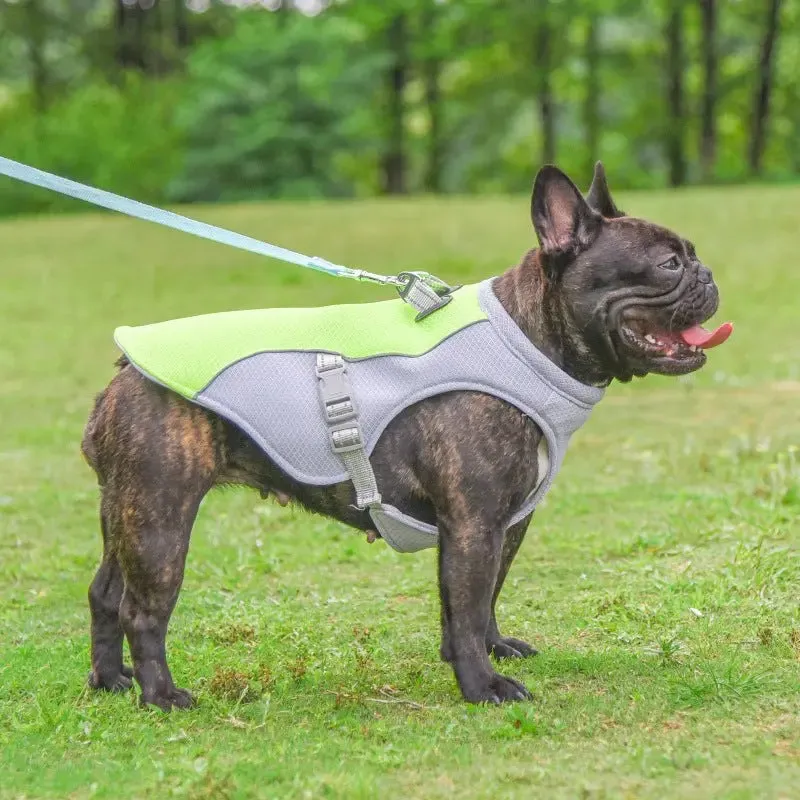 Summer Pet Cooling Clothes For Dogs